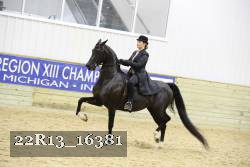22R13_16381 thumbnail