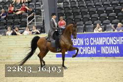 22R13_16405 thumbnail