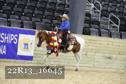 22R13_16645 thumbnail