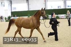 23R13_00035 thumbnail