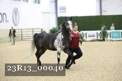 23R13_00040 thumbnail