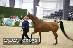 23R13_00052 thumbnail
