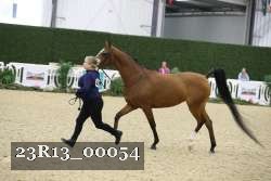 23R13_00054 thumbnail