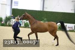 23R13_00057 thumbnail