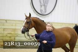 23R13_00059 thumbnail
