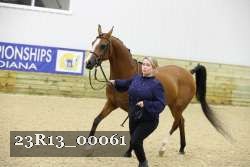 23R13_00061 thumbnail