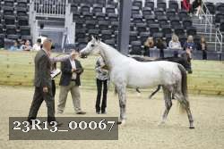 23R13_00067 thumbnail