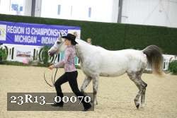 23R13_00070 thumbnail