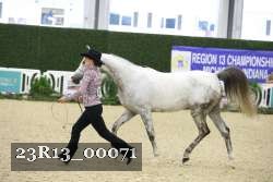 23R13_00071 thumbnail