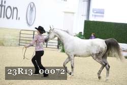 23R13_00072 thumbnail