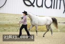23R13_00074 thumbnail