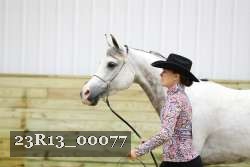 23R13_00077 thumbnail