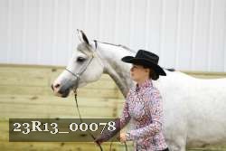 23R13_00078 thumbnail