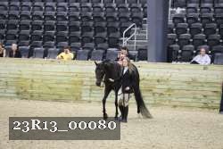 23R13_00080 thumbnail