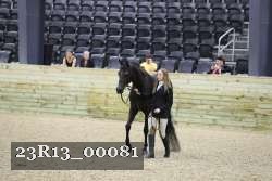 23R13_00081 thumbnail