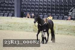 23R13_00082 thumbnail