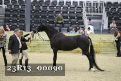 23R13_00090 thumbnail