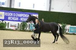 23R13_00092 thumbnail
