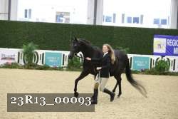 23R13_00093 thumbnail