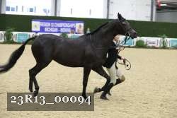 23R13_00094 thumbnail