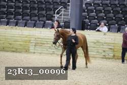 23R13_00096 thumbnail
