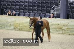 23R13_00097 thumbnail