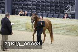 23R13_00098 thumbnail