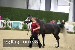 23R13_00128 thumbnail