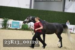 23R13_00129 thumbnail