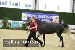 23R13_00130 thumbnail