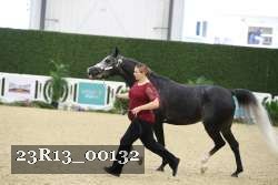 23R13_00132 thumbnail