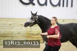 23R13_00133 thumbnail