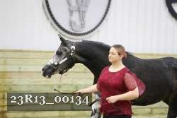 23R13_00134 thumbnail