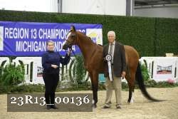 23R13_00136 thumbnail