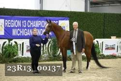 23R13_00137 thumbnail