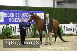 23R13_00138 thumbnail