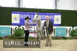 23R13_00140 thumbnail