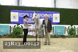 23R13_00142 thumbnail