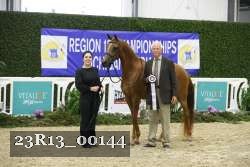 23R13_00144 thumbnail
