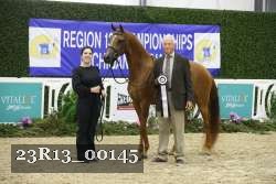 23R13_00145 thumbnail