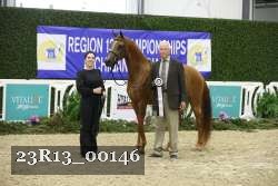 23R13_00146 thumbnail