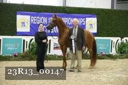23R13_00147 thumbnail