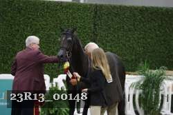 23R13_00148 thumbnail