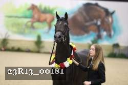 23R13_00181 thumbnail