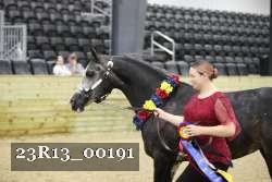 23R13_00191 thumbnail