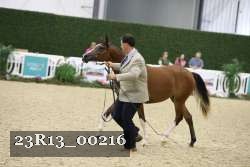 23R13_00216 thumbnail