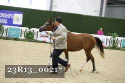 23R13_00217 thumbnail