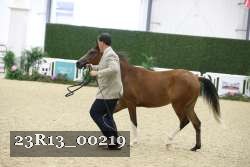23R13_00219 thumbnail