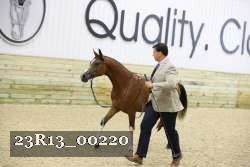 23R13_00220 thumbnail