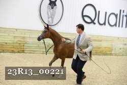 23R13_00221 thumbnail